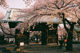 日本南山大学留学优势有哪些